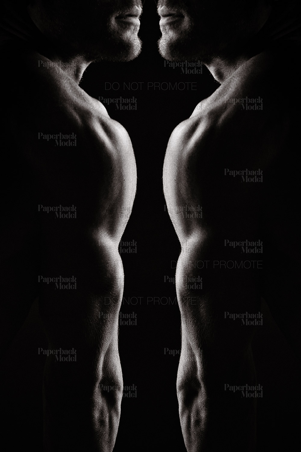 Jay - Paperback Model
