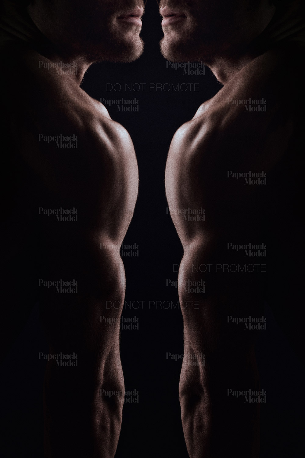 Jay - Paperback Model